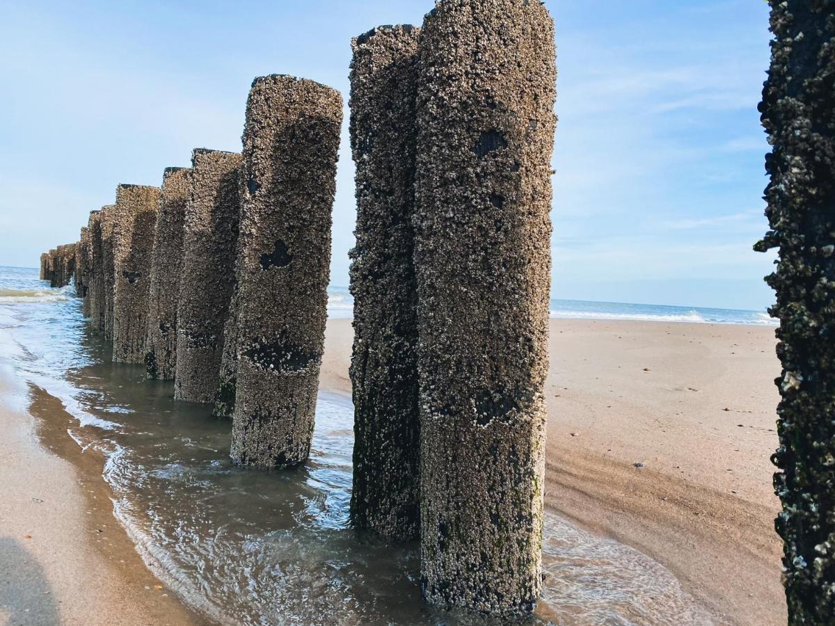 Vakantiehuis Domburg Do33 Eksteriør billede